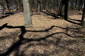 &nbsp; / В парке...