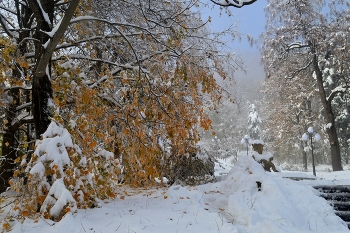 Осенним утром..... / Железноводск. Ноябрь