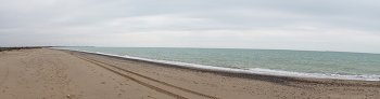 Чёрное море сегодня / Чёрное море в начале апреля. Холодный,тусклый день,пронизывающий ветер,зеленое море, серое небо. Оранжевый песок тоже кажется грязного цвета.И почему-то ТЯНЕТ к морю!?