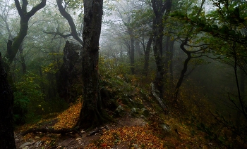 Утро в горах..... / Железноводск. Октябрь