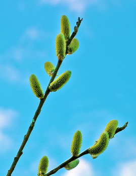 В небесах / ***
