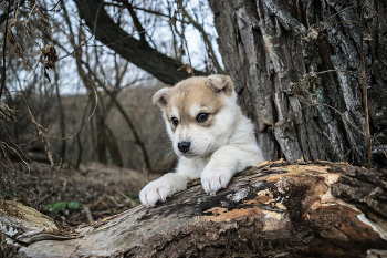 свой взгляд... на жизнь! / на первой прогулке