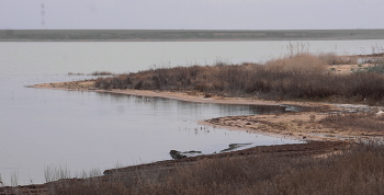 Озеро в пос фРУНЗЕ / Наконец пересохшее озеро наполнилось водой.Есть надежда,что вернутся в него хотя бы выжившие обитатели.