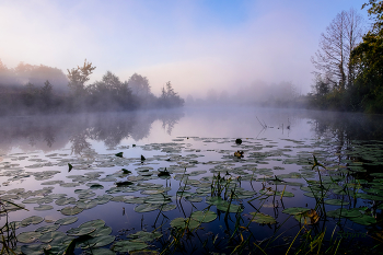 Утро на озере. / Начало осени. Озеро Рожок.
