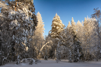 Зимний вечер в лесу / Зима на Урале