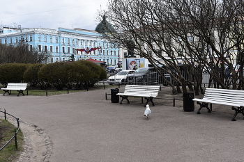 Весна в Петербурге / Петербург весна 2022г