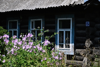 Родной дом. / ...