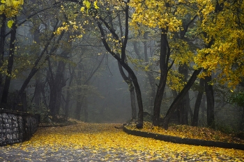 В осеннем парке..... / Железноводск. Октябрь