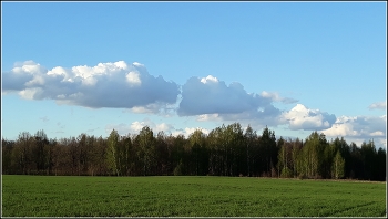 облака плывут-облака / прогулка на природе
