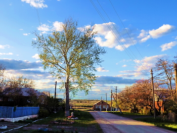 Хорошая погода,,, / Весна, ясный день,оживают деревья, голубое небо