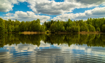 Прохладный май (облачный край) / 09 мая 2023 года. Восток Подмосковья, Дрезна, озеро в лесу.