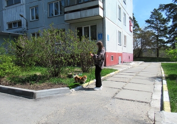 Букетик одуванчиков. / Расцвели первые одуванчики!