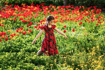 Красные тюльпаны / модель Катя Щекутьева