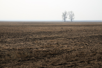 &nbsp; / Омская область, черноземные поля в дыму от лесных пожаров. Начало мая.