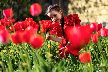 В красных тюльпанах / модель Катя Щекутьева