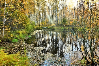 Осенним утром на пруду ... / Осень ...