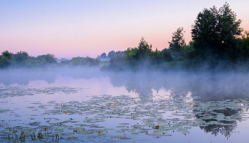07.06.19. / Летнее утро на озере Сосновое.