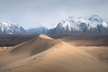 &quot;Чарские пески&quot; / Чарские пески - это настоящая пустыня посреди сибирской тайги и болот, в окружении горных пиков Кодарского хребта. Для фотографа эта пустыня действительно уникальная. Это одно из немногих мест в мире, где можно увидеть песчаные барханы на фоне заснеженных горных вершин! Забайкальский край, май 2022