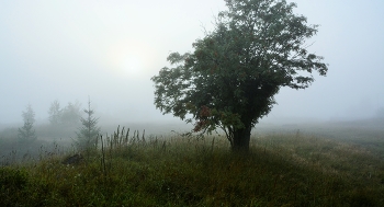 &quot;Утро туманное, утро седое ...&quot; / Утренний этюд ...