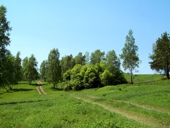 Лесная дорога / Иркутская область