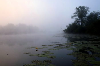 Туман. / Летнее утро. Озеро Студёное.