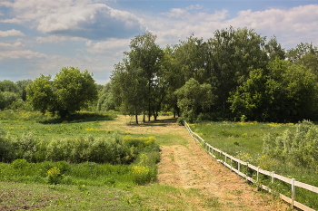 Июньский пейзаж / Жаркий полдень