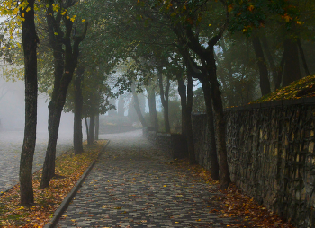 Туманным утром..... / Железноводск. Октябрь