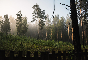 За околицей / Утро после ночного дождя
