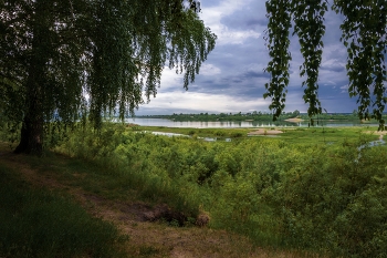 В ожидании ненастья... / Июнь, Сибирь, Томск...