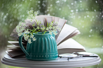 Летний сон / ***