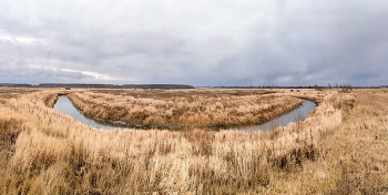 Осеняя Оша! / Речка находится в Омской области, снимала на территории заказника осенним хмурым днём, и, да.. слегка моросил дождик. Степь, .. красота скромная, может.. потому, что осень поздняя, но, я там была впервые, и больше не увижу эту извилистую речку, с известным мне названием.