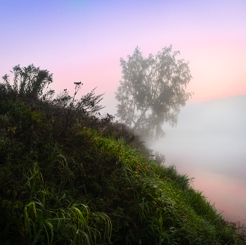 Рассвет / Берег реки