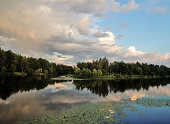 вечер июня / лето, река