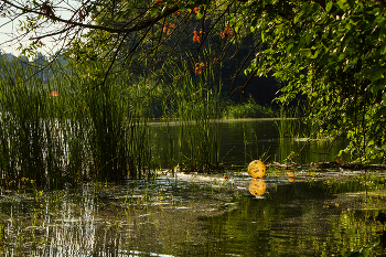 Ты смог / В умах положен нам предел
О невозможности чего-то.
Чтоб даже думать ты не смел,
Что жизнь тебе дана для взлёта. 

Но сердце говорит тебе:
«Не слушай ум, взлетай как птица,
Верь не уму, а лишь себе,
И невозможное свершится».

Рождён, чтоб брать все рубежи,
Людей недаром создал Бог.
И коль поверишь сердцу ты,
Тогда ты станешь тем, кто смог.

Октябрь, 2016.

Автор: Ваис Тусупов