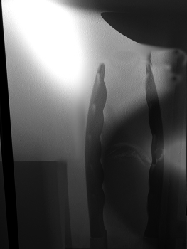 &nbsp; / in black and white