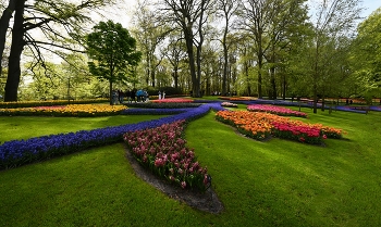 Парк тюльпанов &quot;Кёкенхоф&quot; в Голландии / Голландия