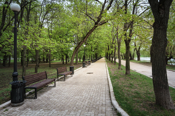 В весеннем парке... / ***