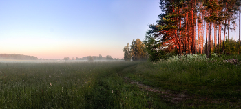 Ласковое утро / Панорама