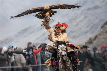Торжество победы / Монголия, охотник с беркутом.
Еще их ( они сами себя ) называют беркутчи.
© https://phototravel.pro/phototravel2023/