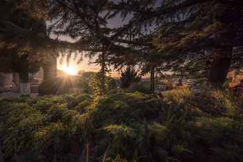 Sunset At Metekhi Church Garden / Июльский закат в саду у церкви Метехи в Тбилиси