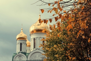 Царское Село. Осень. / Октябрь 2022.