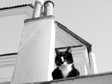 Кот, который гуляет сам по себе по крышам Белого Дома где-то на окраине Минска / репост, чего-то там исправляла...
Следуя последним рекомендациям, даю фотографии говорящее название...)
