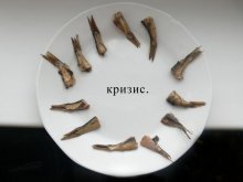 кризис. / *ассоциативное*