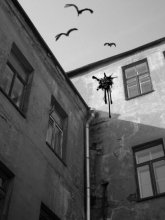 &nbsp; / гавораць, гэта да поспеху.
хто ведае - у гэтым горадзе ўсё мажліва...