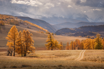 Алтайская / Алтай