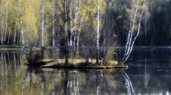 Весенним утром...... / Петербург. Осиновая Роща. Май