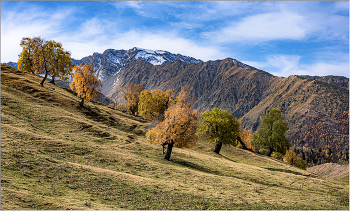 Осень в горах / Карачаево-Черкесия