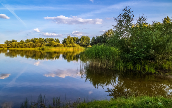 Лес, озеро, облака # 04 / 22 июля 2023 года. Восток Подмосковья, Дрезна.
