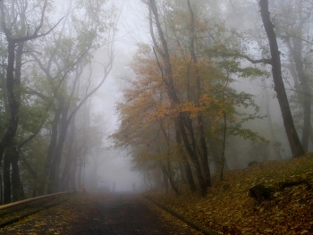 В парке осеннем..... / Железноводск. Октябрь