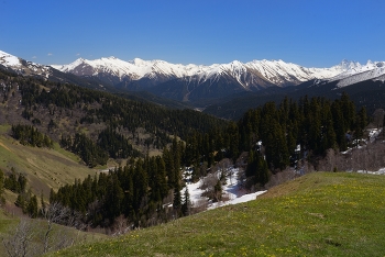 Весна в горах / Архыз